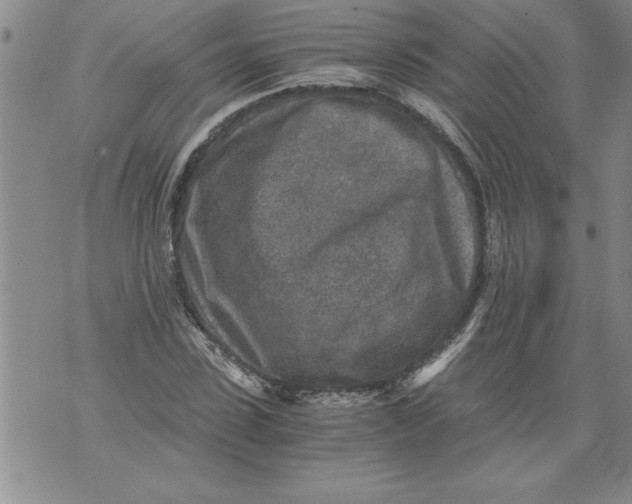 X0000076090923200610152314