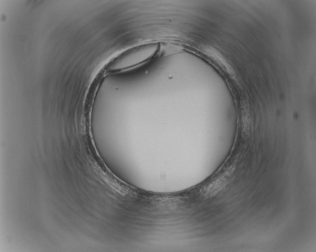 X0000076090924200610152314