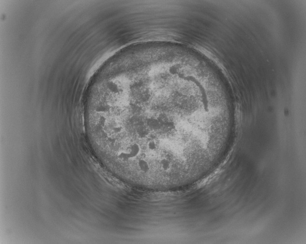 X0000076090925200610152314