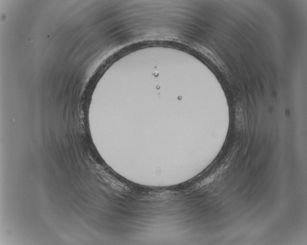 X0000076090926200610152315