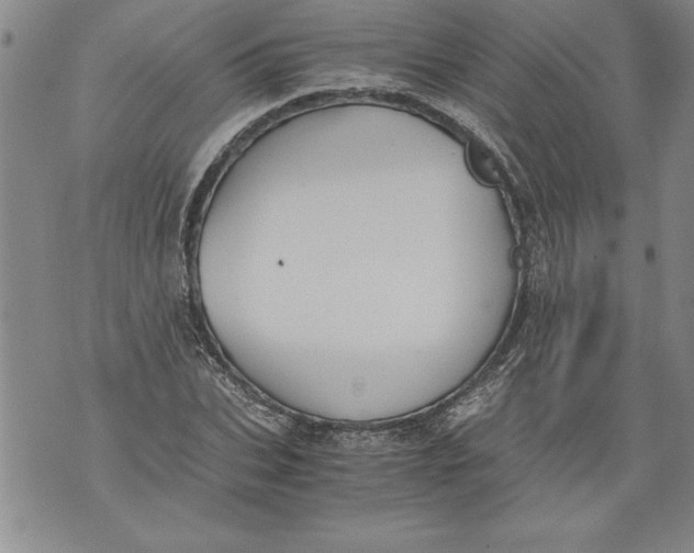 X0000076090927200610152315