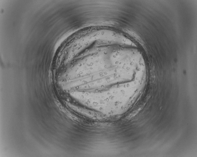 X0000076090928200610152315