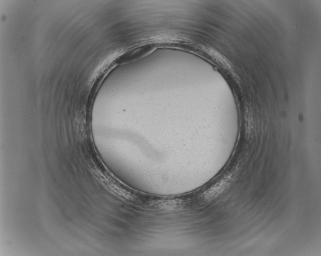 X0000076090930200610152315