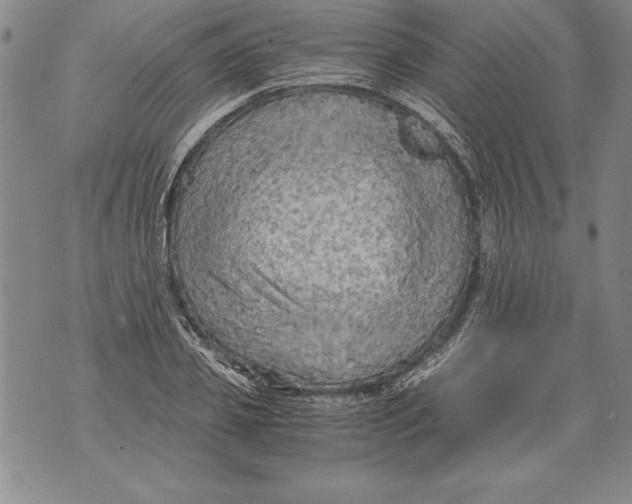 X0000076090933200610152315