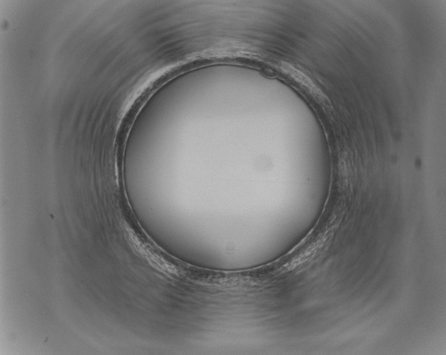 X0000076090934200610152315