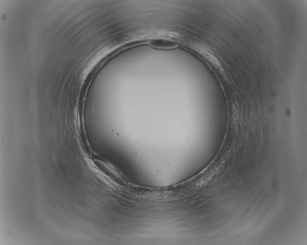 X0000076090936200610152315