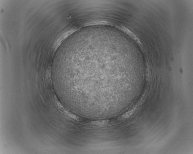 X0000076090937200610152315