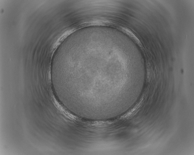 X0000076090938200610152315