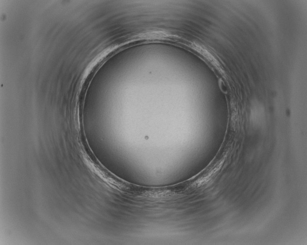 X0000076090939200610152315