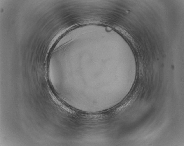 X0000076090941200610152315