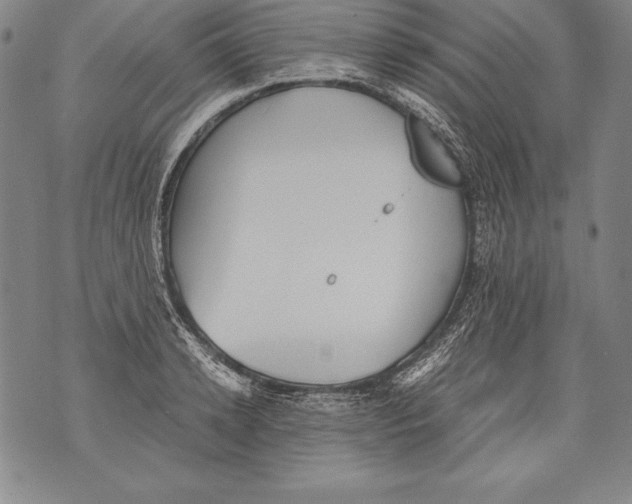 X0000076090942200610152315