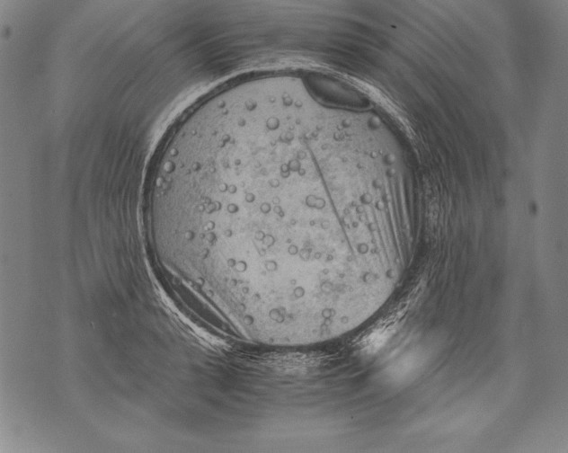 X0000076090943200610152315