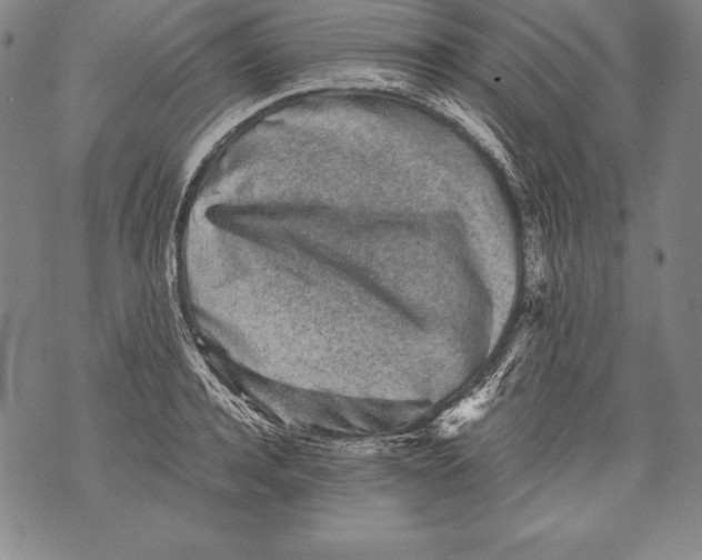 X0000076090944200610152315