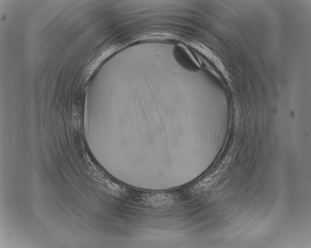 X0000076090945200610152315