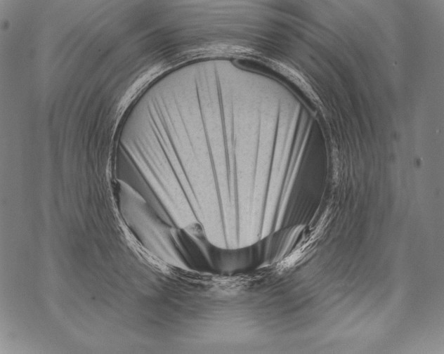 X0000076090946200610152315