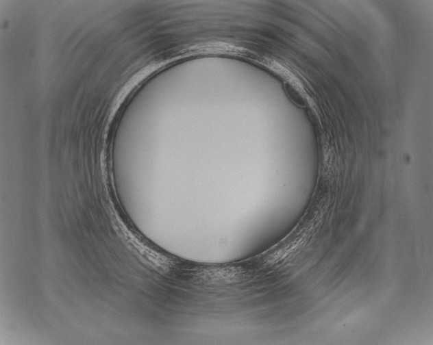 X0000076090947200610152315