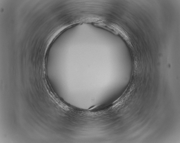 X0000076090948200610152315