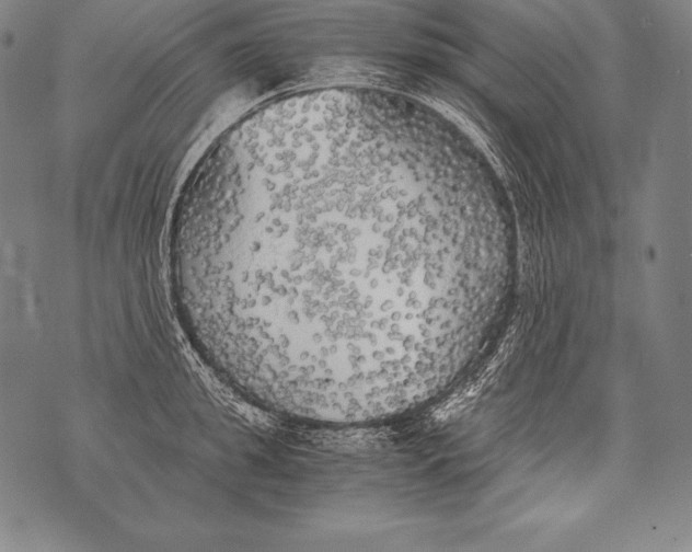 X0000076090949200610152315