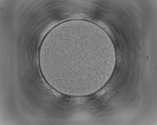 X0000076090950200610152315