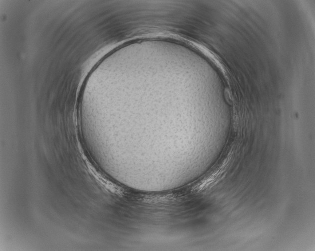 X0000076090951200610152315