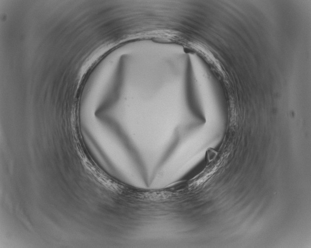 X0000076090952200610152315