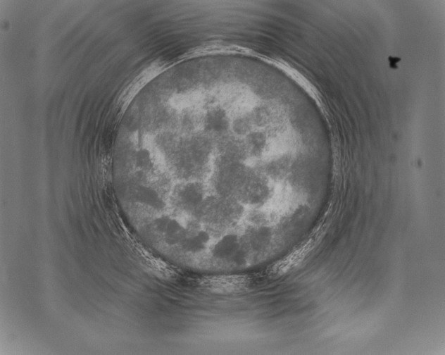 X0000076090953200610152315