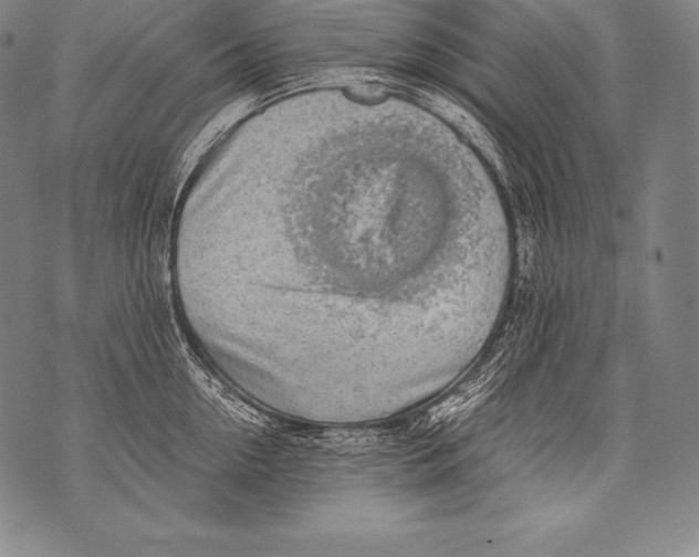 X0000076090954200610152315