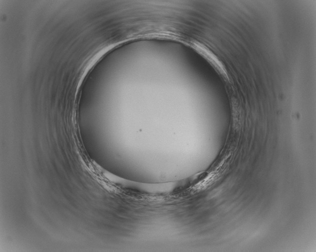 X0000076090956200610152315