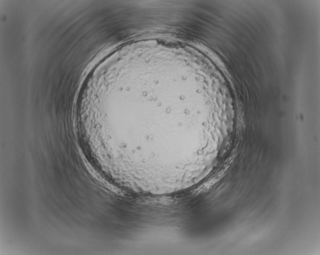 X0000076090957200610152315