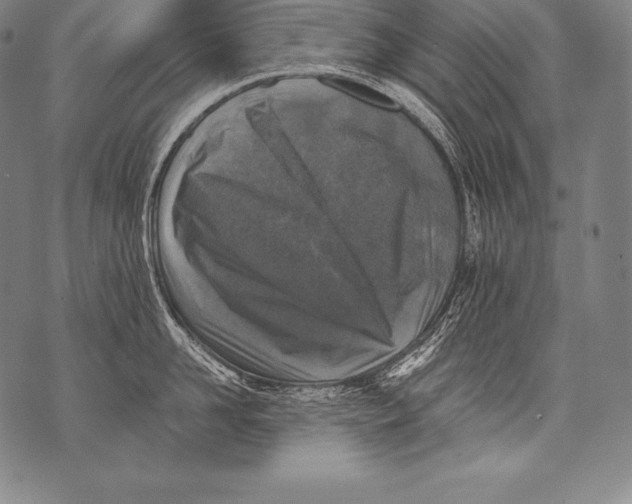 X0000076090958200610152315