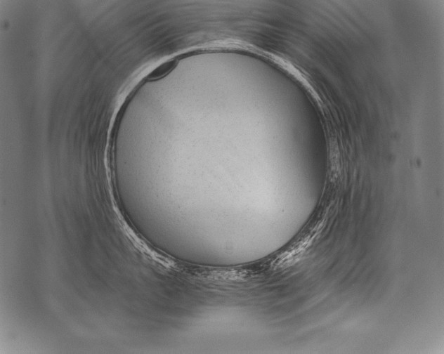 X0000076090959200610152315