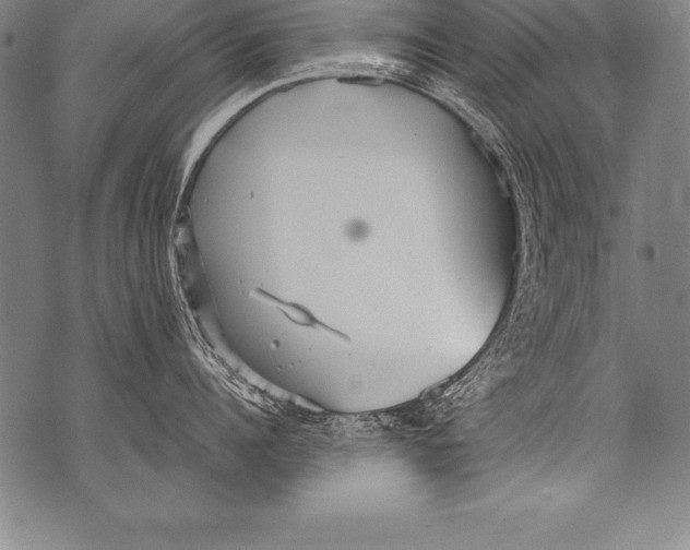 X0000076090960200610152315