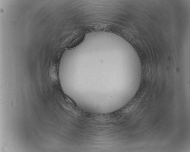 X0000076090962200610152314