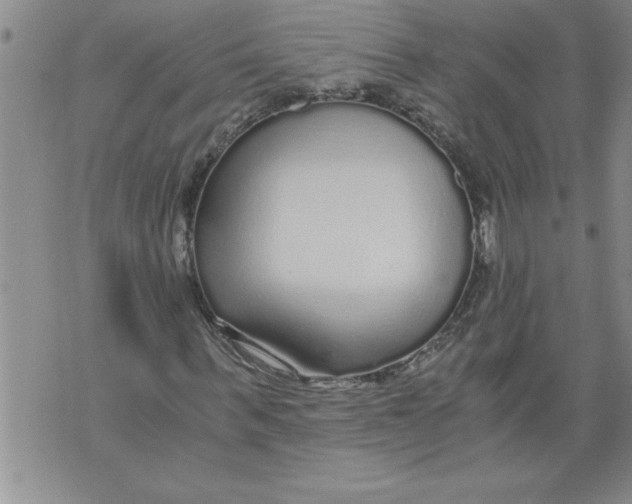 X0000076090963200610152314