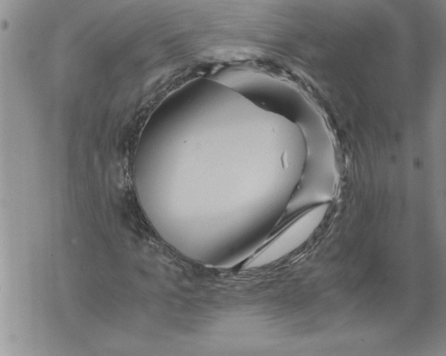 X0000076090965200610152314