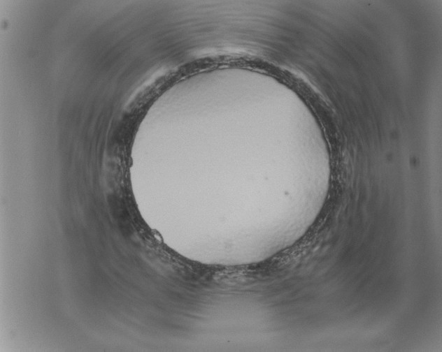 X0000076090967200610152314