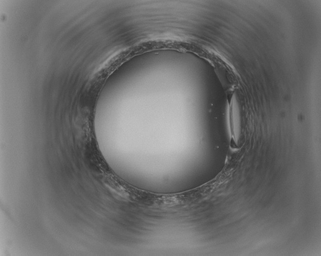 X0000076090968200610152314