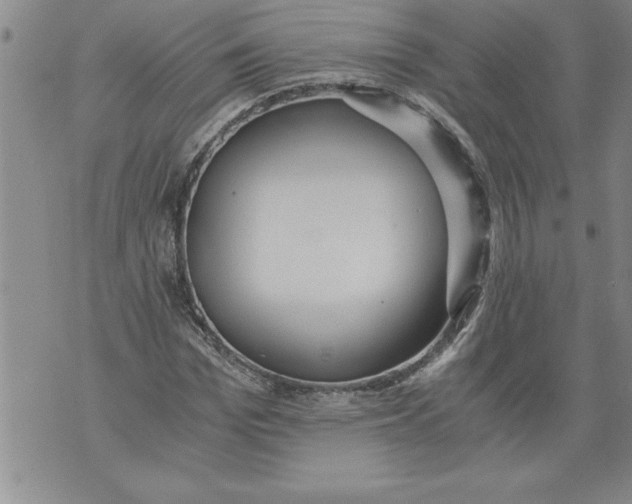 X0000076090969200610152314