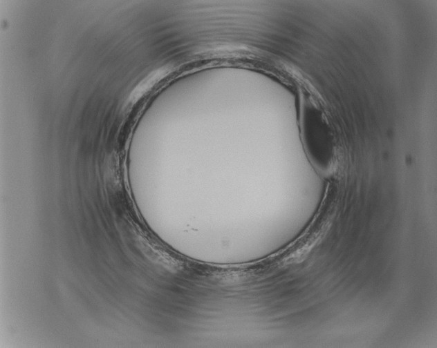 X0000076090970200610152314