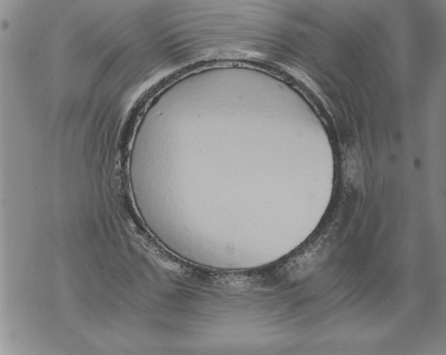 X0000076090971200610152314