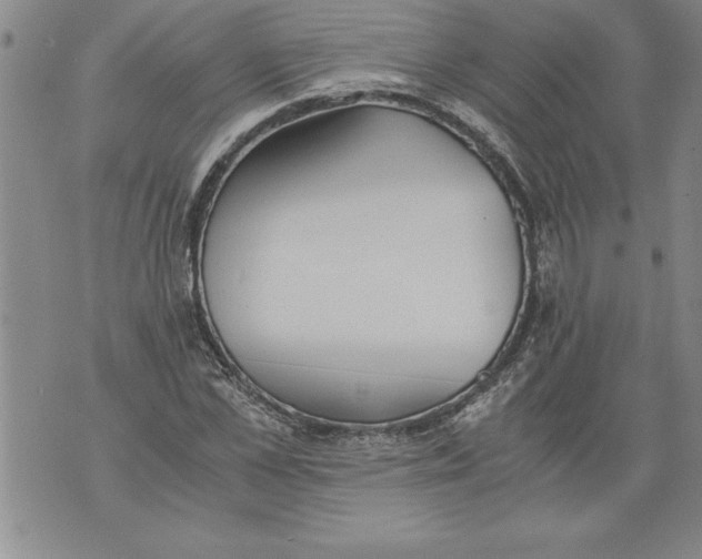 X0000076090973200610152314