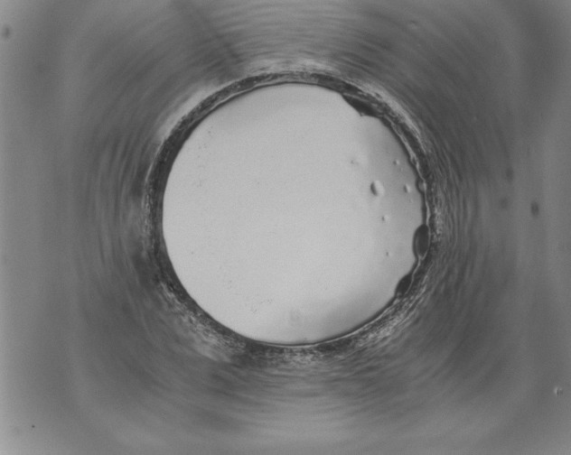 X0000076090975200610152314