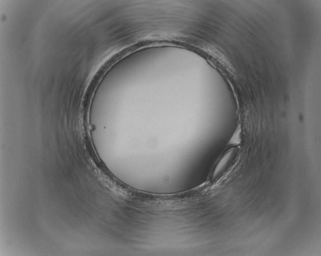 X0000076090976200610152314