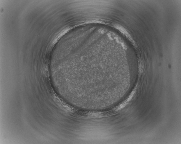 X0000076090977200610152314