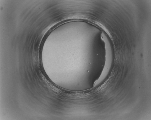 X0000076090980200610152314