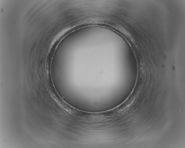 X0000076090981200610152314