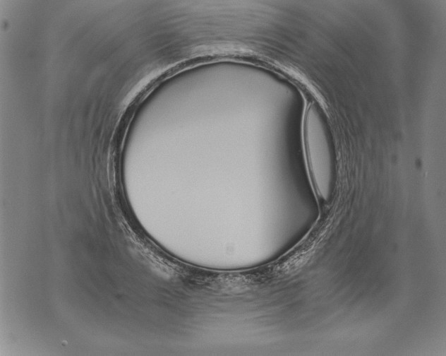 X0000076090983200610152314