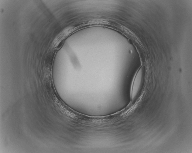 X0000076090985200610152314