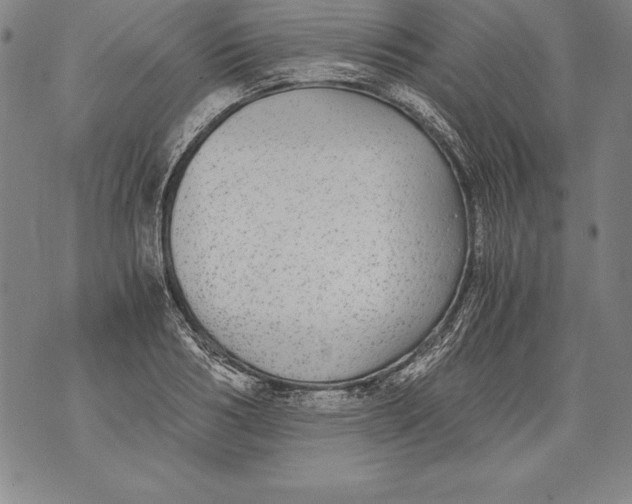 X0000076090986200610152314