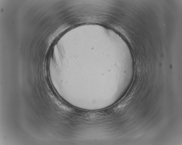 X0000076090987200610152314